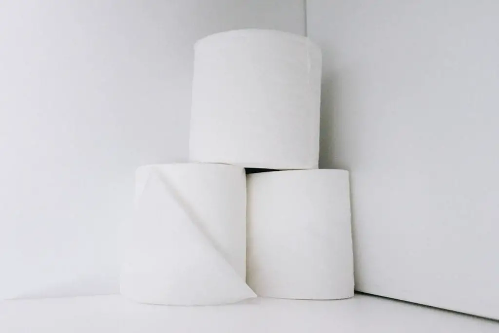 Toilet paper rolls stacked together in a tower